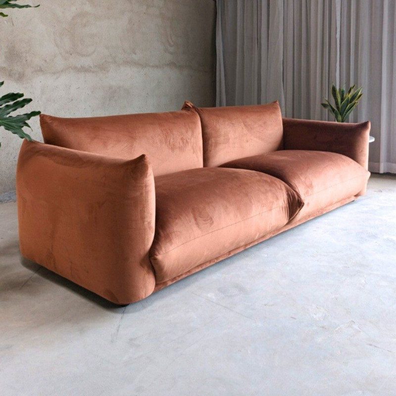 Aurelia - Imagen 3